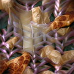 Generative designs of diverse materials