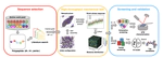 Learning mechanical property and phase of polypeptide self-assemblies