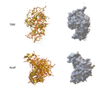 Generative multiscale analysis of de novo proteome-inspired molecular structures and nanomechanical optimization using a VoxelPerceiver transformer model